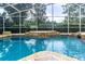 Captivating view of the sparkling pool with a waterfall feature, lush landscaping, and a serene backyard setting at 17503 Edinburgh Dr, Tampa, FL 33647