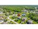 Expansive aerial view showcasing lush landscaping, mature trees, and surrounding homes at 17909 Howsmoor Pl, Lutz, FL 33559