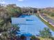 Aerial view of community basketball and racquetball courts, surrounded by lush greenery at 17909 Howsmoor Pl, Lutz, FL 33559