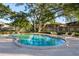 Community pool on a sunny day, surrounded by mature landscaping and lounge seating at 2934 Lichen Ln # D, Clearwater, FL 33760