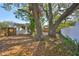 Backyard featuring shade trees and a white privacy fence at 4703 Serena Dr, Tampa, FL 33617