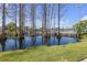 Scenic pond with trees growing out of the water, reflecting the blue sky at 5820 N Church Ave # 148, Tampa, FL 33614
