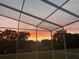 A quiet sunset over a verdant yard as seen through the screen porch at 818 Edgehill Dr, Palm Harbor, FL 34684