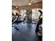 Bright gym featuring modern treadmills, weight machines, and views of the lush landscape at 10200 Gandy N Blvd # 235, St Petersburg, FL 33702