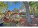 A serene backyard featuring a patio with seating, a swing set, mature trees, and an enclosed pool area at 1439 Wetherington Way, Palm Harbor, FL 34683