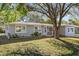 Inviting single-story home with a lush front yard and mature trees, enhancing curb appeal at 1653 S Prescott Ave, Clearwater, FL 33756