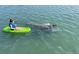 Person in kayak paddling next to a manatee in clear waters at 19829 Gulf Blvd # 601, Indian Shores, FL 33785
