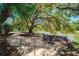 Lakeside brick-paved seating area beneath a majestic tree offers scenic views at 2796 St Andrews Blvd, Tarpon Springs, FL 34688