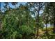 Backyard featuring thick foliage and views of a pond in the distance at 2537 Royal Pines Cir # 19I, Clearwater, FL 33763