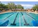 Inviting community pool with clear water, lane markers, and colorful pennants creates a refreshing and fun atmosphere for swimmers at 3633 Cordgrass Dr, Valrico, FL 33596