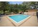 Relaxing community pool surrounded by mature trees and lounge chairs at 3633 Cordgrass Dr, Valrico, FL 33596
