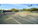 Well-maintained tennis courts, perfect for friendly matches or serious training at 3633 Cordgrass Dr, Valrico, FL 33596