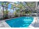 Backyard view showcasing an enclosed pool surrounded by lush tropical landscaping at 6208 Imperial Ky, Tampa, FL 33615