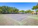 Outdoor tennis court with a green and gray hard court surface and tall trees behind the fence at 6262 142Nd N Ave # 1304, Clearwater, FL 33760