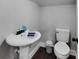 This half-bath features a pedestal sink, wood-look flooring, and a modern commode at 9017 S County Line Rd, Lithia, FL 33547