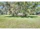 Lush, green lawn with mature trees and Spanish moss leads to a charming home at 9017 S County Line Rd, Lithia, FL 33547