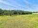 The expansive backyard features a lush lawn leading down to a serene lake at 10818 Breaking Rocks Dr, Tampa, FL 33647