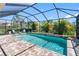 Relaxing pool area with comfortable seating, lush landscaping, and a covered patio for shaded enjoyment at 19412 Lonesome Pine Dr, Land O Lakes, FL 34638
