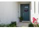 A beautifully decorated, light blue front door with colorful flowers at 2516 Leafwing Ct, Palm Harbor, FL 34683