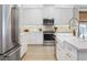 Bright kitchen features white cabinets, stainless steel appliances, and a farmhouse sink at 2516 Leafwing Ct, Palm Harbor, FL 34683