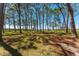 Expansive grounds with shade trees, offering a serene and natural setting at 2700 Bayshore Blvd # 512, Dunedin, FL 34698