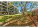 View of the expansive backyard, lawn, and lush trees at 2700 Bayshore Blvd # 512, Dunedin, FL 34698