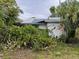 Exterior view of a small single-Gathering home surrounded by overgrown foliage at 3029 20Th St, St Petersburg, FL 33713