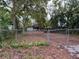 A spacious front yard filled with trees and greenery behind a chain-link fence at 3029 20Th St, St Petersburg, FL 33713