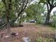 A spacious front yard filled with trees and greenery at 3029 20Th St, St Petersburg, FL 33713