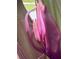 Close-up of a pink flower bud with green foliage in the background at 4499 Chase Oaks Dr, Sarasota, FL 34241