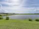 Picturesque lake view from the lush green backyard, a perfect spot for relaxation and enjoying nature's beauty at 5210 Dandelion St, Apollo Beach, FL 33572