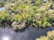 Aerial shot of a verdant property on a river, showcasing mature trees and waterfront access at 57 Hamilton Heath Dr Dr, Tampa, FL 33604