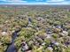 Expansive aerial view captures a waterfront property surrounded by lush greenery and nearby homes at 57 Hamilton Heath Dr Dr, Tampa, FL 33604