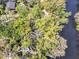 Overhead image of a house among lush trees, some bordering a body of water at 57 Hamilton Heath Dr Dr, Tampa, FL 33604