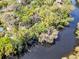 An aerial view of a riverfront property with abundant trees and natural beauty at 57 Hamilton Heath Dr Dr, Tampa, FL 33604