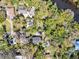 Aerial view of a neighborhood displaying homes with pools and lush landscaping at 57 Hamilton Heath Dr Dr, Tampa, FL 33604