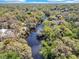 A serene river winding through lush greenery, creating a picturesque landscape of homes and trees at 57 Hamilton Heath Dr Dr, Tampa, FL 33604