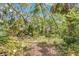 Wooded backyard with an abundance of lush trees, vegetation and ground cover creating a natural landscape at 57 Hamilton Heath Dr Dr, Tampa, FL 33604