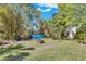 Open backyard featuring grass and assorted trees at 57 Hamilton Heath Dr Dr, Tampa, FL 33604
