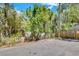 Wooded backyard with gate to the left and fence to the right, next to asphalt road at 57 Hamilton Heath Dr Dr, Tampa, FL 33604