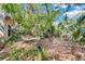 Lush foliage adorns a backyard with mature trees at 57 Hamilton Heath Dr Dr, Tampa, FL 33604