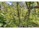 Lush backyard with mature trees and tropical foliage, creating a serene outdoor space at 57 Hamilton Heath Dr Dr, Tampa, FL 33604