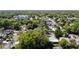 Neighborhood aerial view showcasing the mature trees and close proximity to urban amenities at 7303 N Branch Ave, Tampa, FL 33604