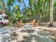 Backyard patio with mature landscaping, an open-air shed, and four Adirondack chairs around a concrete paver patio at 7303 N Branch Ave, Tampa, FL 33604