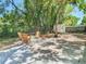 Backyard patio with mature landscaping, an open-air shed, and four Adirondack chairs around a concrete paver patio at 7303 N Branch Ave, Tampa, FL 33604
