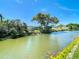 Backyard's waterfront offering a serene setting with mature trees and picturesque scenery at 7330 Cherry Laurel Dr, Port Richey, FL 34668