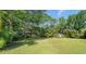 Expansive backyard with lush green lawn and mature trees, offering a private and serene outdoor space at 8136 Honeybee Ln, Tampa, FL 33635