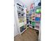 Well-organized pantry featuring adjustable shelves and drawers for optimal storage at 11118 Golden Silence Dr, Riverview, FL 33579