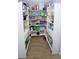 Walk-in pantry with white shelving provides ample storage for food and household items at 11118 Golden Silence Dr, Riverview, FL 33579