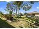 Expansive backyard featuring a manicured lawn, mature trees, and established landscaping at 11803 70Th St, Largo, FL 33773